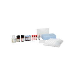 Protein Standards & Kits