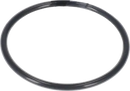 mixing-equipment-o-ring-ø56-74x3-53-fep-te2601000366-content_medium.webp