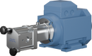 positive-displacement-pumps-m200-12-no-connections-ssc-fpm-motor-0.25-kw-960-rpm-d80-coupling-8010030496-left_medium.webp