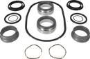 pumps-service-kit-sx7sx-ultrapure-7-r00-sicsic-fpm-usp-vi-9630879211-content_medium.webp