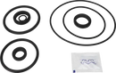 valves-service-kit-epdm-unique-double-seat-101.6dn100-mix-with-dn125-150-plug-set-up-9-9611926402-content_medium.webp