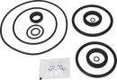 valves-service-kit-epdm-unique-double-seat-63.5-76dn65-80-mix-with-dn125-150-plug-set-up-1-and-15-9611926169-content_medium.webp