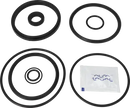valves-service-kit-epdm-unique-to-63.5-76.1dn65-80-stub-flange-valve-plug-set-up-12-9611926469-content.tiff_medium.webp