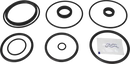 valves-service-kit-fpm-iso-63-5dn65-76-1dn80-blasted-vlv-unique-mixproof-3-body-plug-setup-31-9611928355-content_medium.webp