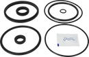 valves-service-kit-fpm-unique-double-seat-101.6dn100-plug-set-up-10-and-11-9611926368-content_medium.webp
