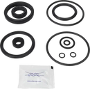 valves-service-kit-fpm-unique-double-seat-51dn50-plug-set-up-3-and-16-9611921611-content_medium.webp