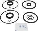 valves-service-kit-fpm-unique-double-seat-63.5-76dn65-80-plug-set-up-1-and-15-9611921564-content_medium.webp