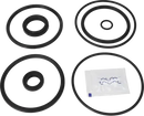 valves-service-kit-hnbr-cp-3-2-valve-plug-set-up-19-9611928260-content_medium.webp