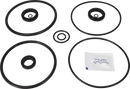valves-service-kit-hnbr-unique-double-seat-101.6dn100-plug-set-up-1-and-15-9611921572-content_medium.webp