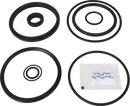 valves-service-kit-hnbr-unique-to-63.5-76.1dn65-80-stub-flange-valve-plug-set-up-12-9611926472-content.tiff_medium.webp