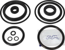 valves-service-kit-nbr-unique-double-seat-51dn50-plug-set-up-2-and-13-9611921580-content_medium.webp